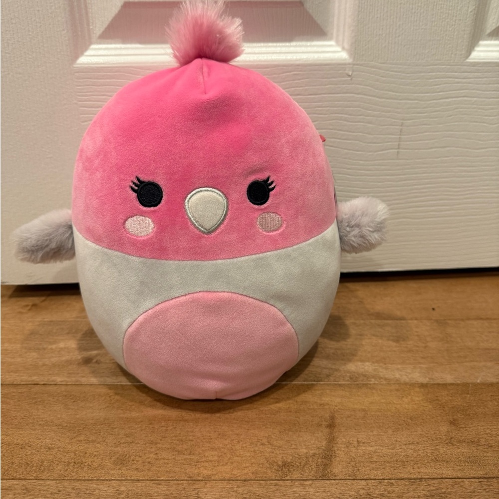 Squishmallow 8” Jayla The First To Market Parrot Pink and Light Gray BNWT